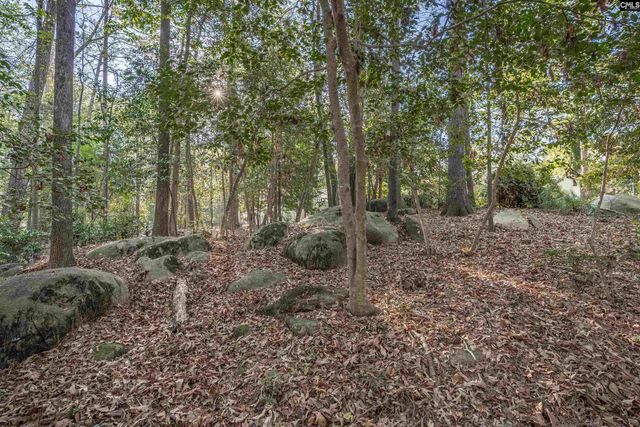 1525 Riviera Drive, West Columbia, SC 29169