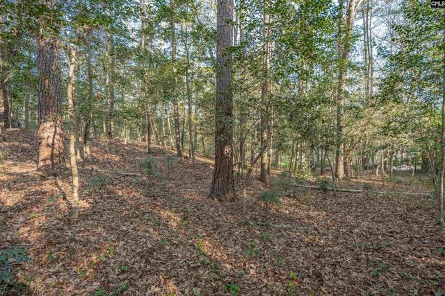 1525 Riviera Drive, West Columbia, SC 29169