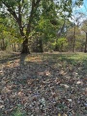 Cawston Drive, Bella Vista, AR 72715