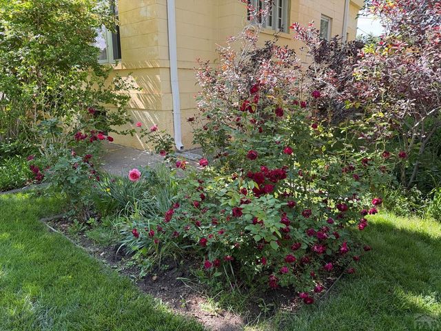 321 W 18th St, Pueblo, CO 81003