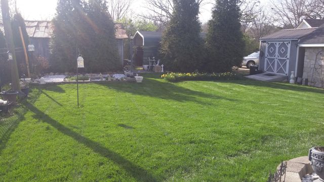 115 N Harlin Drive, West Plains, MO 65775