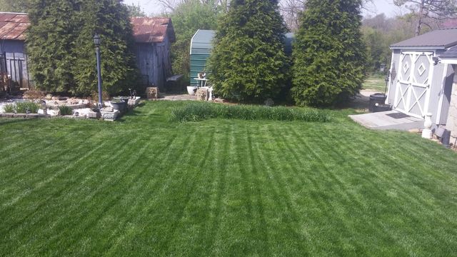 115 N Harlin Drive, West Plains, MO 65775