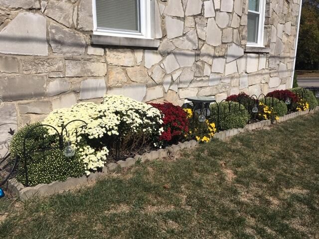 115 N Harlin Drive, West Plains, MO 65775