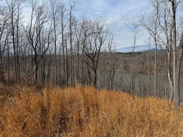 LOT 47 Pearl DR, Hardy, VA 24101