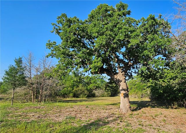 6538 Olympia Buddy Road, College Station, TX 77845