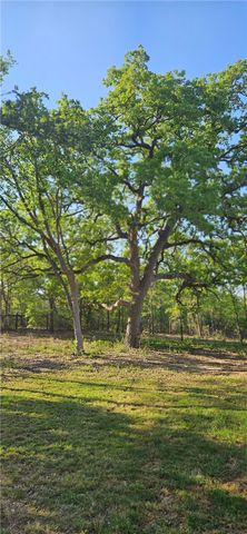 6538 Olympia Buddy Road, College Station, TX 77845