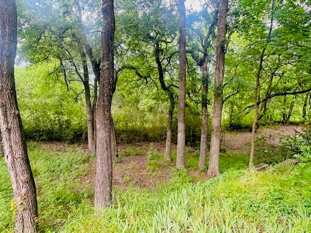 1229 Epps Road, Palmer, TX 75152