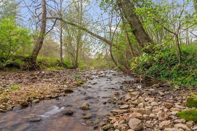 35 Bud Parker Lane, Erin, TN 37061