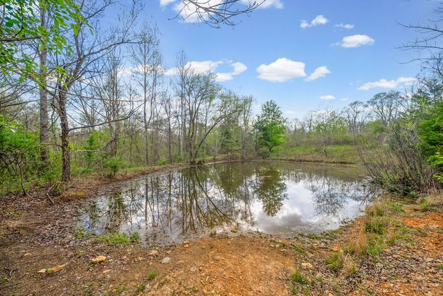 35 Bud Parker Lane, Erin, TN 37061