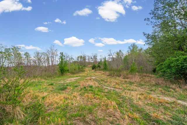 35 Bud Parker Lane, Erin, TN 37061