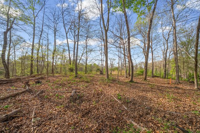 35 Bud Parker Lane, Erin, TN 37061