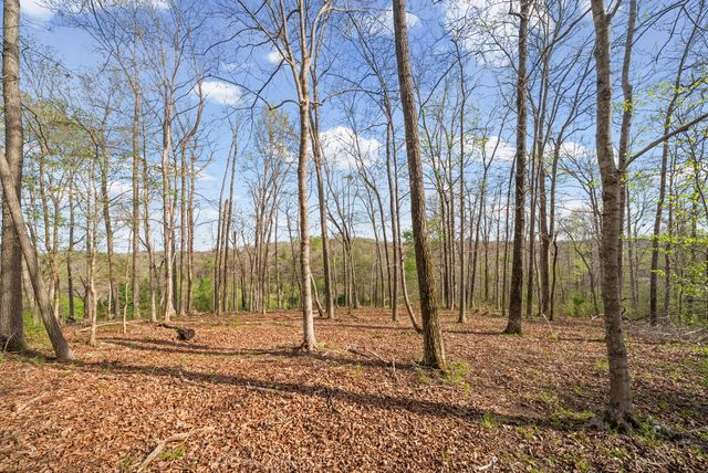 35 Bud Parker Lane, Erin, TN 37061