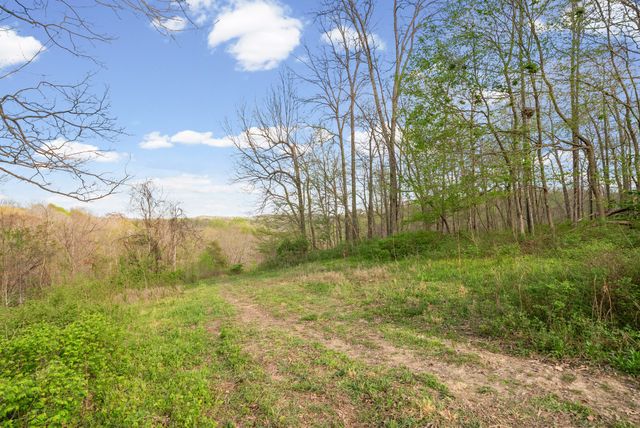 35 Bud Parker Lane, Erin, TN 37061