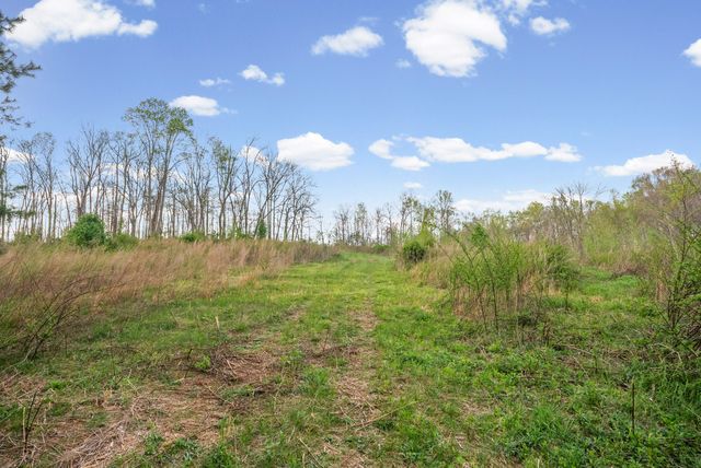 35 Bud Parker Lane, Erin, TN 37061