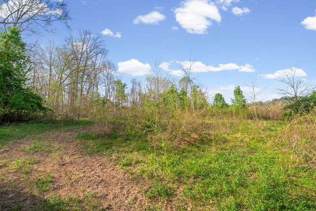 35 Bud Parker Lane, Erin, TN 37061