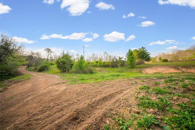 35 Bud Parker Lane, Erin, TN 37061