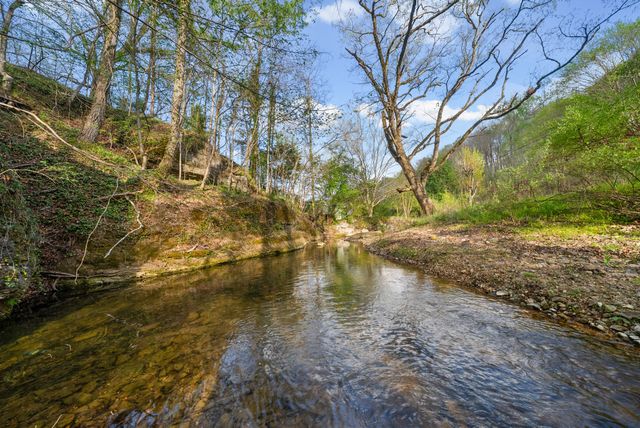 35 Bud Parker Lane, Erin, TN 37061