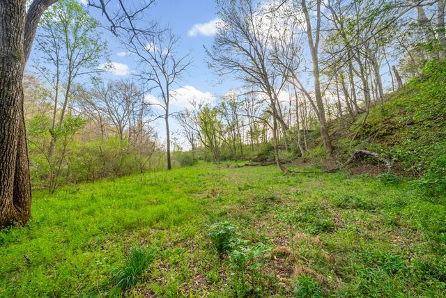 35 Bud Parker Lane, Erin, TN 37061