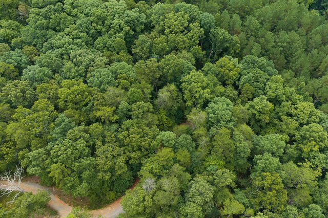 300 Sumac Lane, Ellijay, GA 30540