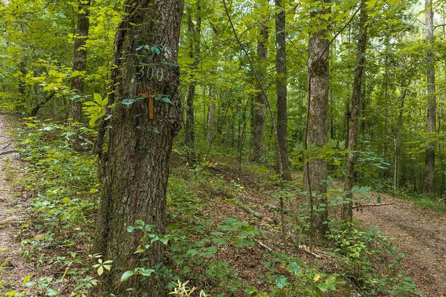 300 Sumac Lane, Ellijay, GA 30540