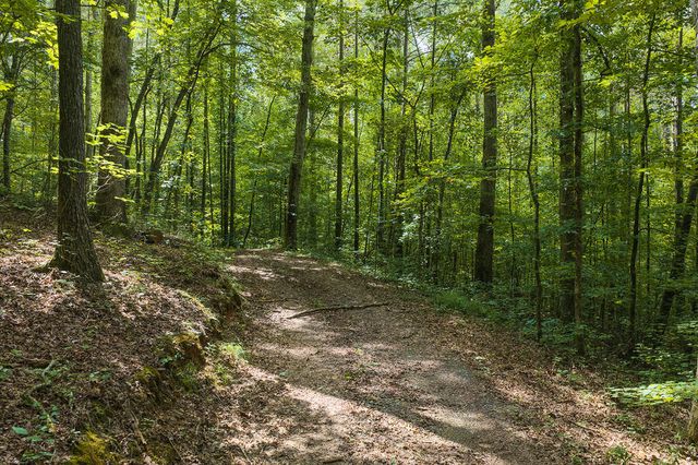 300 Sumac Lane, Ellijay, GA 30540