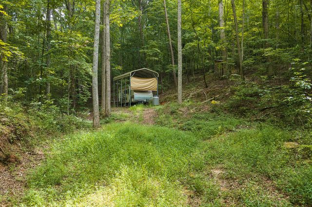 300 Sumac Lane, Ellijay, GA 30540