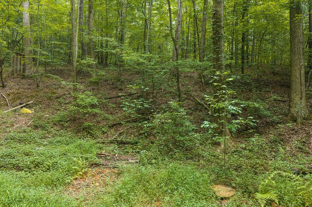 300 Sumac Lane, Ellijay, GA 30540