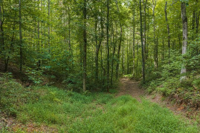 300 Sumac Lane, Ellijay, GA 30540