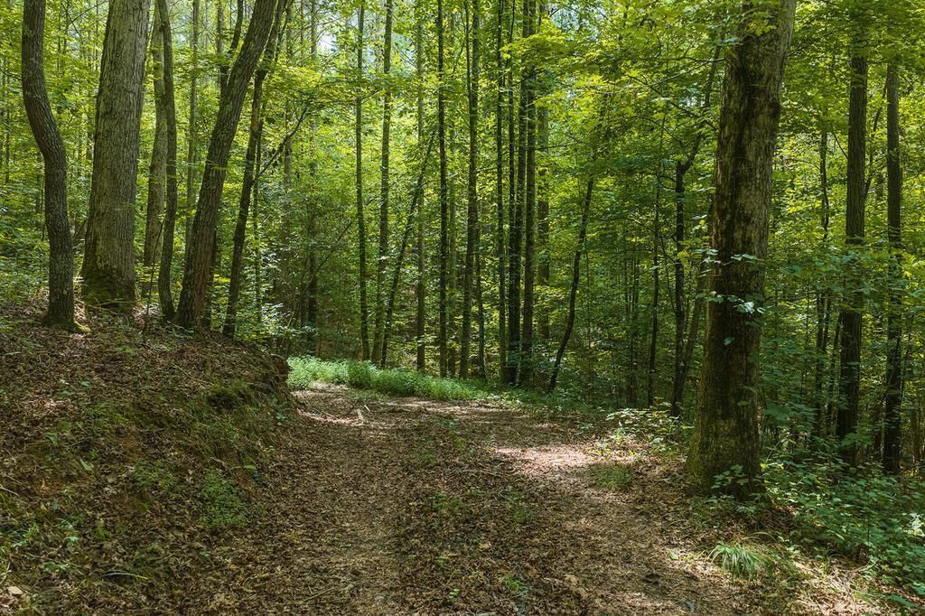 300 Sumac Lane, Ellijay, GA 30540