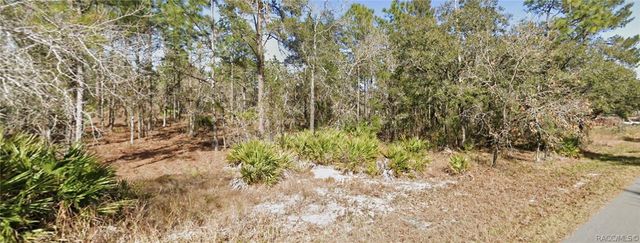 11323 Furley Avenue, Brooksville, FL 34613