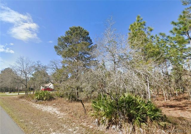 11323 Furley Avenue, Brooksville, FL 34613