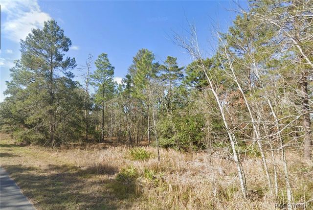 11323 Furley Avenue, Brooksville, FL 34613