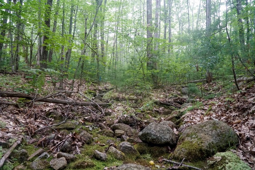 TBD Moose Rocks Road, Kennebunkport, ME 04046 — photo 4
