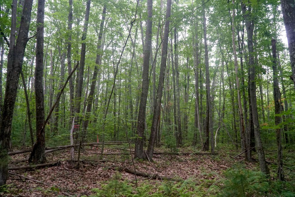 TBD Moose Rocks Road, Kennebunkport, ME 04046 — photo 5