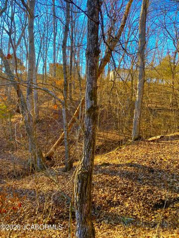 12420 COUNTY ROAD 4047, Holts Summit, MO 65043