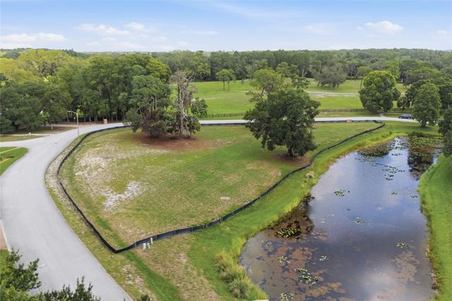 520 AUSTIN DRIVE, Tarpon Springs, FL 34688