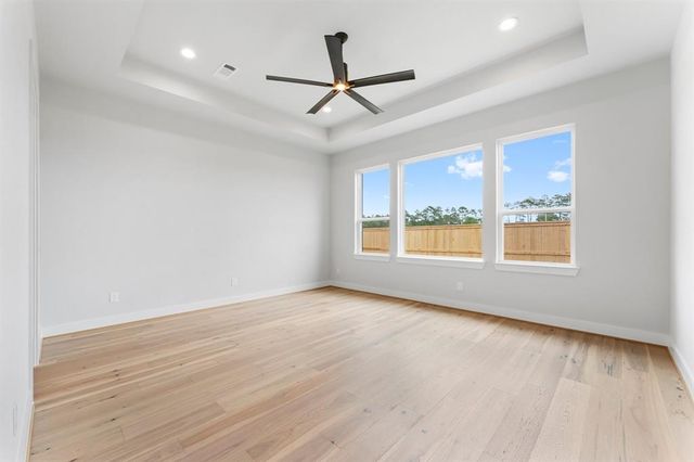 315 Masked Duck Court, Magnolia, TX 77354
