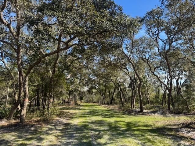 NE 150TH AVE ROAD LOT 2, Fort Mc Coy, FL 32134