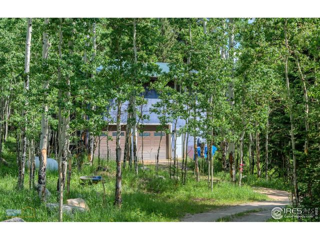 46525 Highway 72, Ward, CO 80481