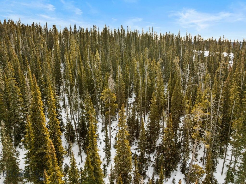 TBD White Butte Road, Big Sky, MT 59716 photo 9
