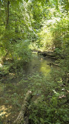 2449 Warner Bridge Rd, Shelbyville, TN 37160