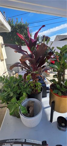 1179 W 19th, San Pedro (los Angeles), CA 90731