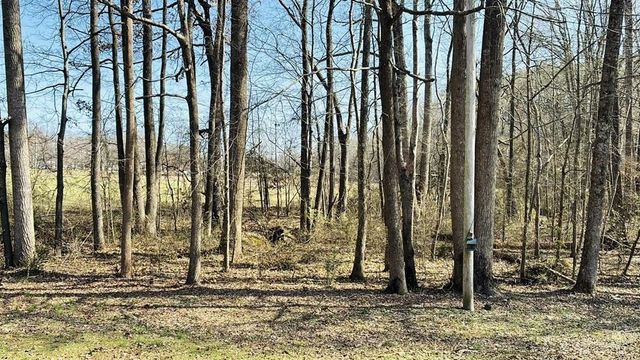 50 DEER BROOKE DR, Scotts Hill, TN 38374