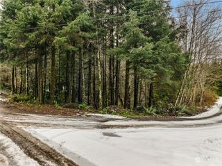 0 X Lyons Lane, Aberdeen, WA 98520