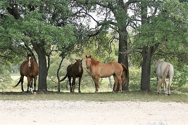 76 Indian Springs, Kerrville, TX 78028