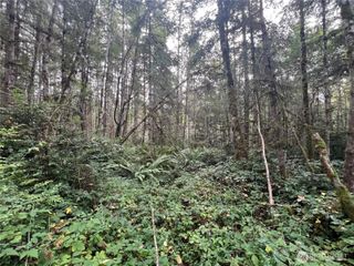 2 XX View Drive NE, Poulsbo, WA 98370