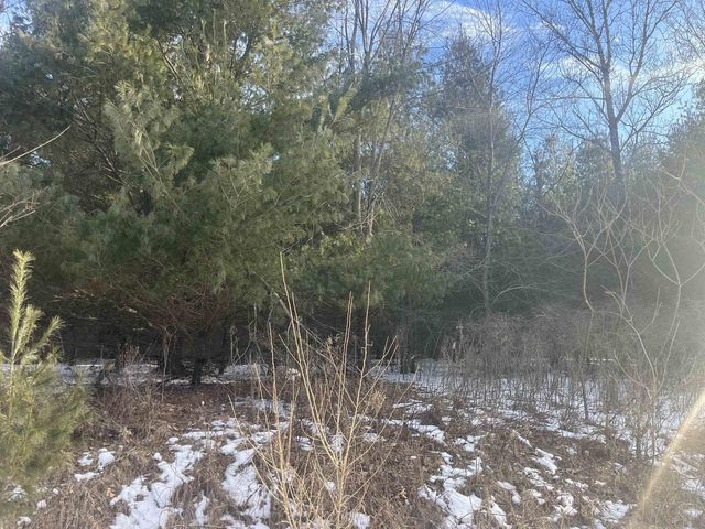 N4750 Whitetail Lane, Elroy, WI 53929