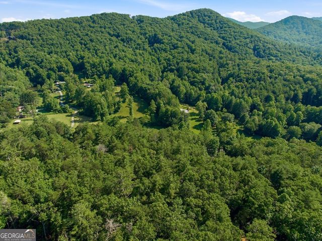 2 AC Ritchie Creek Road, Blue Ridge, GA 30513