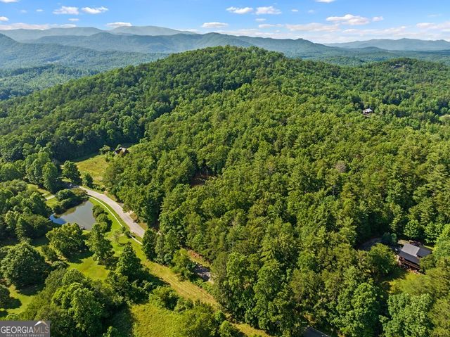 2 AC Ritchie Creek Road, Blue Ridge, GA 30513