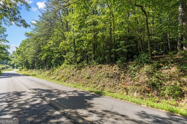 2 AC Ritchie Creek Road, Blue Ridge, GA 30513